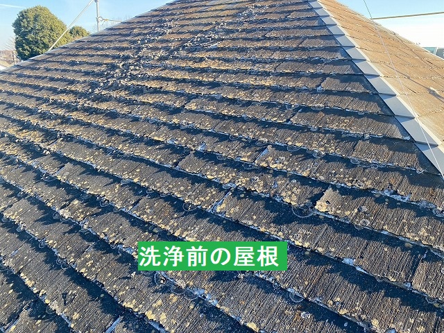 洗浄前のパミール屋根