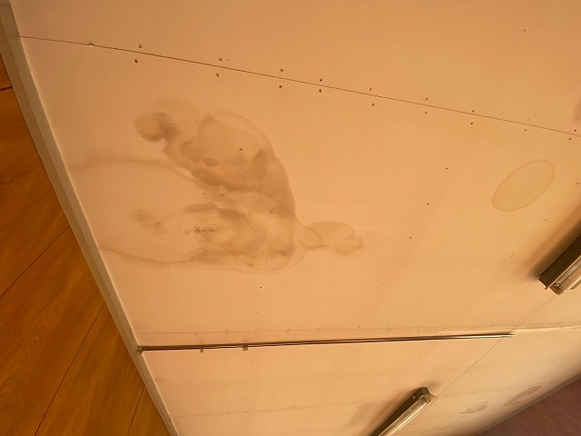 天井ボードに発生していた雨漏り染み