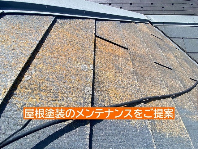 水戸市のグリシェイドクァッドは屋根塗装を提案