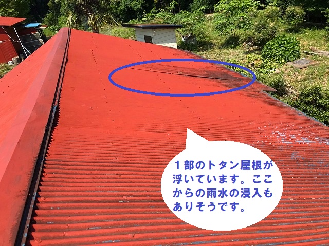 水戸市でのトタン屋根葺き替え依頼のお家は母屋に併設するトタン屋根が少し浮いています
