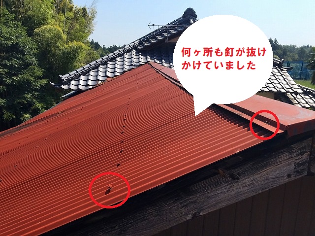 水戸市でのトタン屋根葺き替え依頼のお家は母屋に併設するトタン屋根の建物の釘抜けがありました