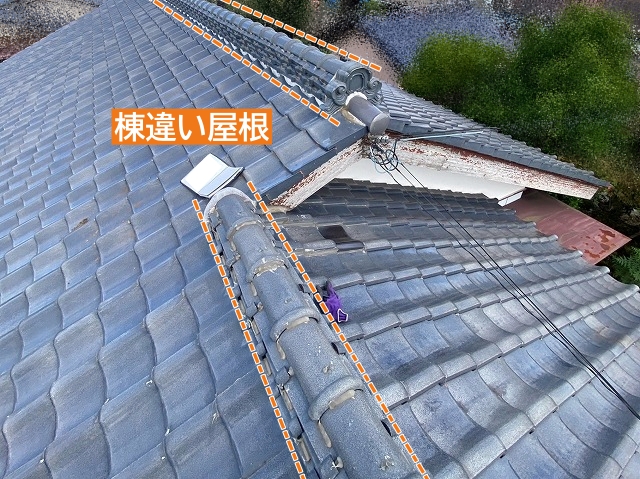 水戸市で天井裏を確認した雨漏り診断！原因である棟違い屋根を緊急養生