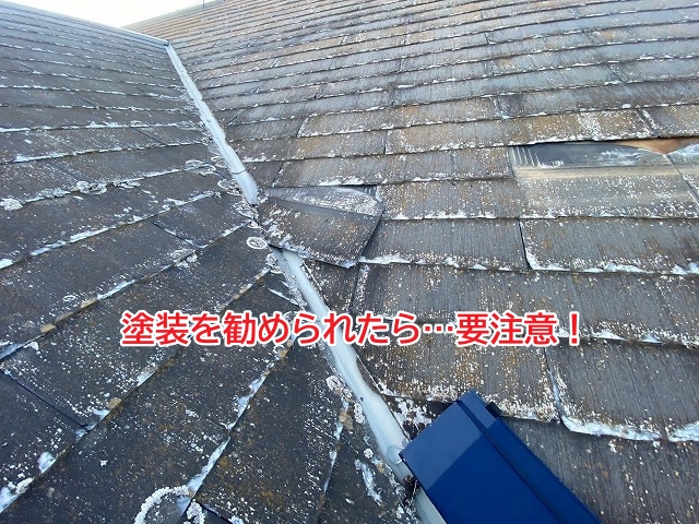 ボロボロの屋根に塗装を勧められたら建築仕様書を確認