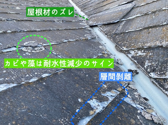 屋根材ズレや層間剝離、カビの発生も顕著