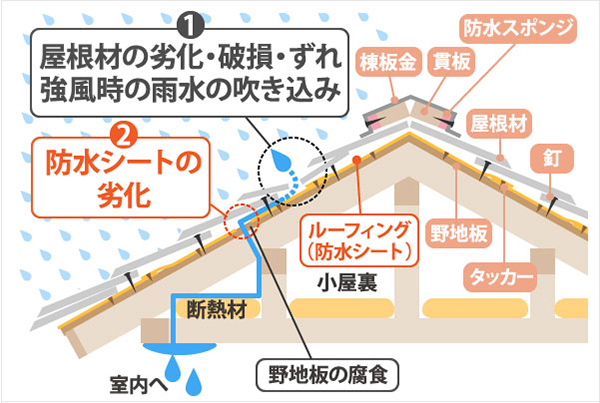 屋根、防水紙、雨漏りの関係図